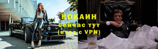 гидра Кострома