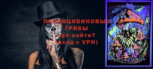 гидра Кострома