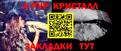 амф Гусев