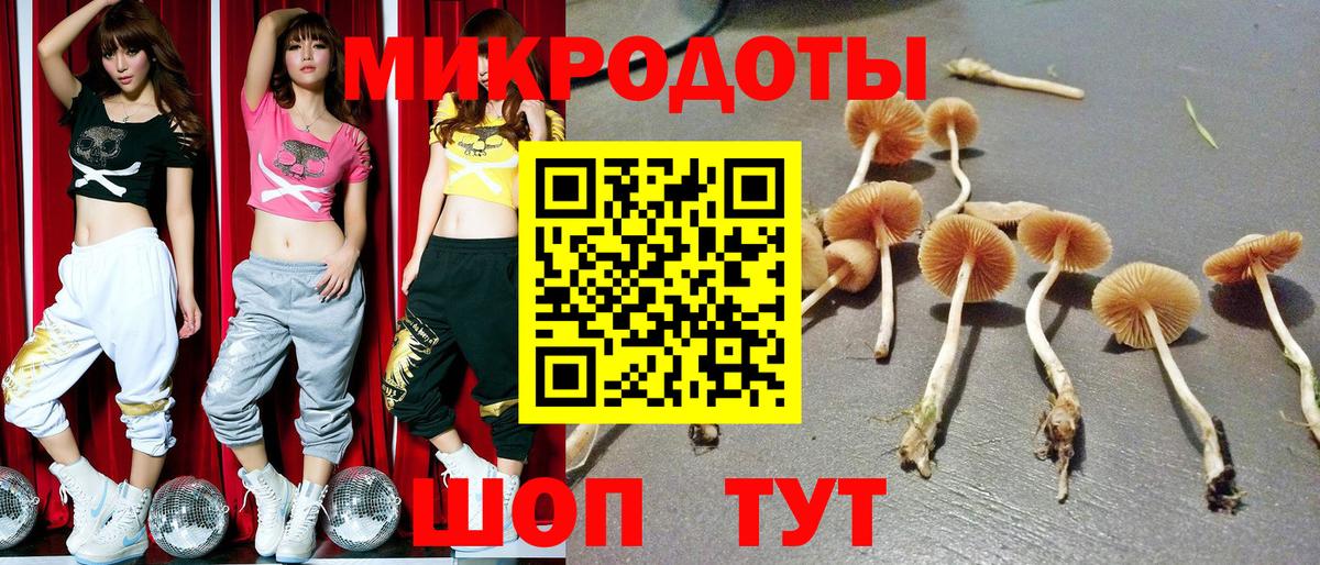 Псилоцибиновые грибы прущие грибы Искитим