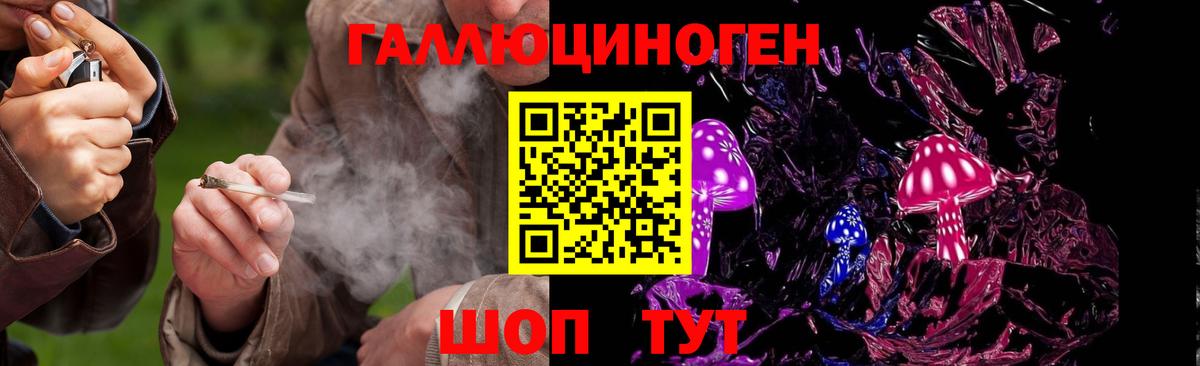 Галлюциногенные грибы MAGIC MUSHROOMS  Вход с VPN  Искитим  Псилоцибиновые грибы MAGIC MUSHROOMS 